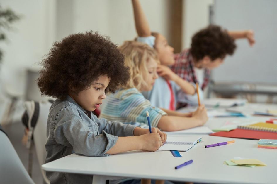 Identificando e Apoiando Necessidades Especiais no Desenvolvimento Infantil