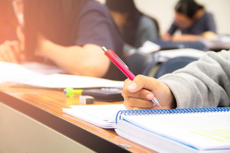 A Importância do Apoio dos Pais no Progresso Cognitivo Escolar